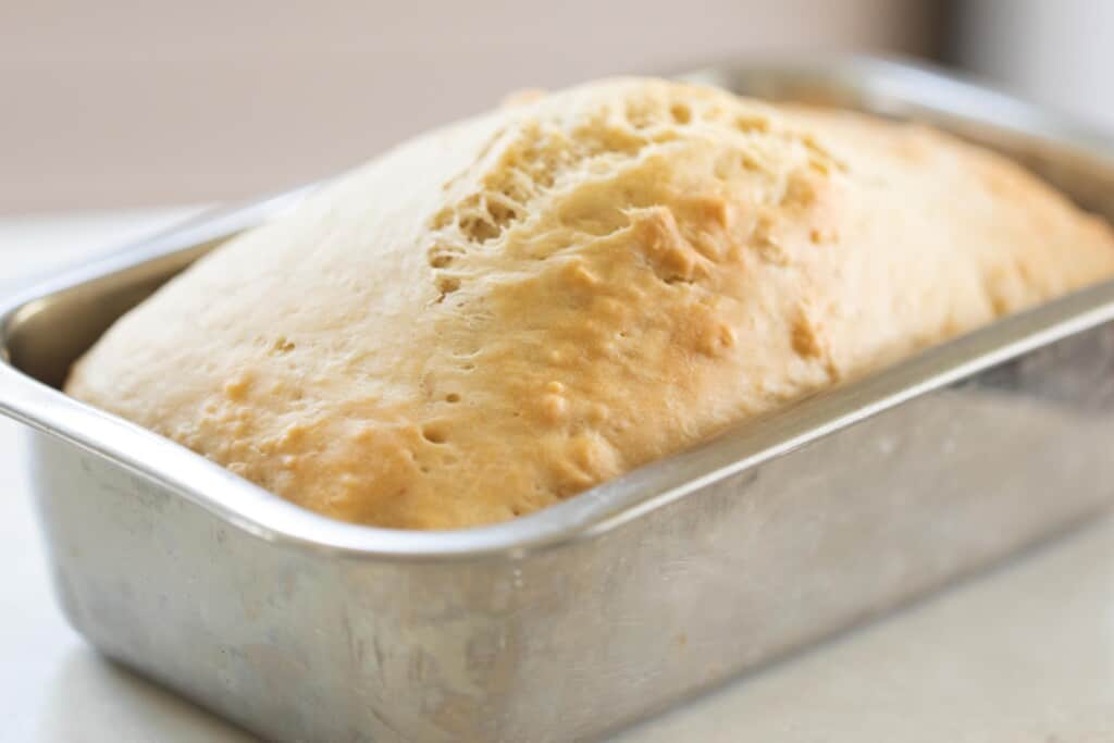 A baked loaf of sourdough beer bread still in a stainless steel loaf pan