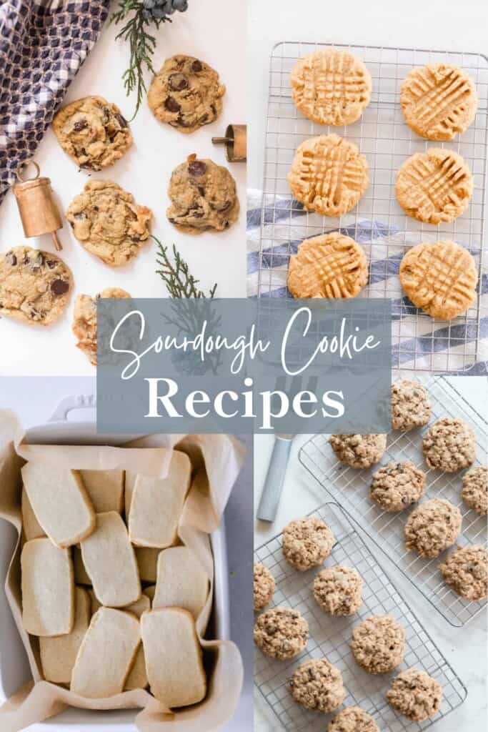 four picture of sourdough cookies: chocolate chip, peanut butter, shortbread and oatmeal