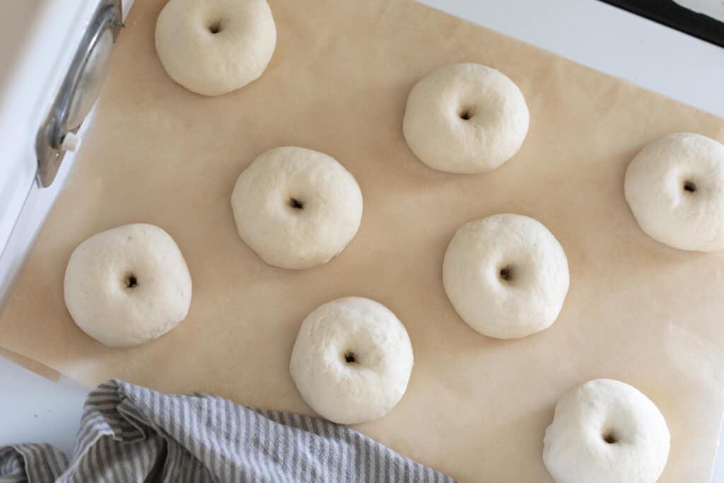 bagels shaped on parchment paper