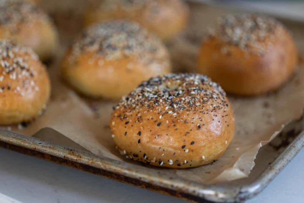 six sourdough discard bagels on a parchment lined baking sheet