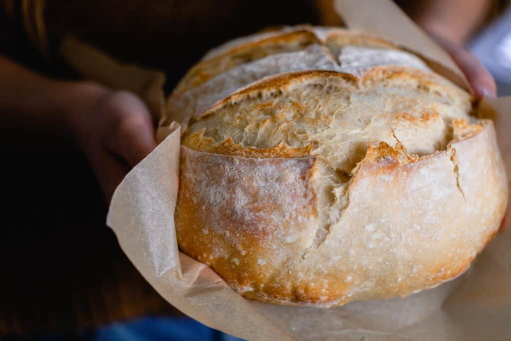 hands holding a beginners sourdough boule