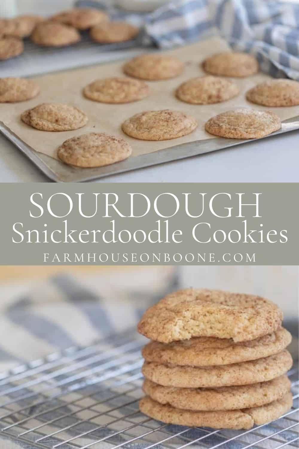 Sourdough Snickerdoodle Cookies Farmhouse on Boone