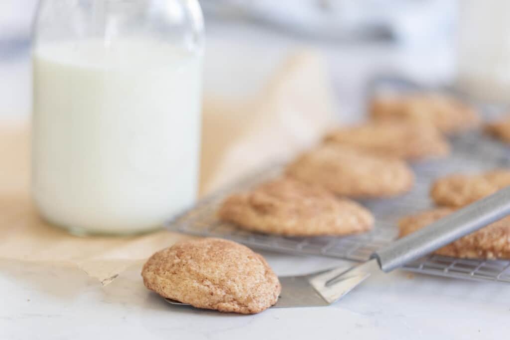 sourdough snickerdoodle cookie on a spatula on a white countertop with a wire rack full of more cookies in the background. A glass of milk is to the left of the cookies