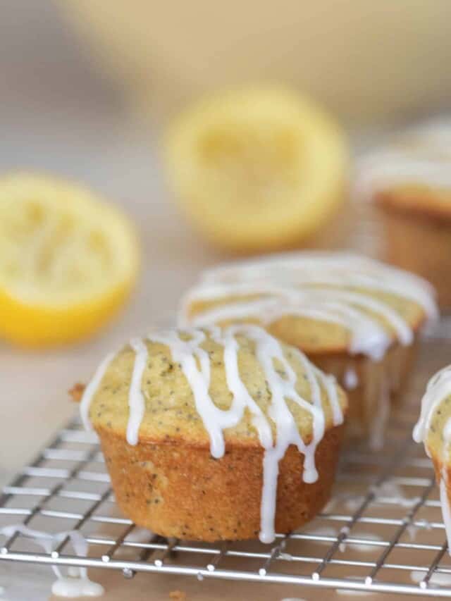 Sourdough Lemon Poppy Seed Muffin Recipe Farmhouse on Boone