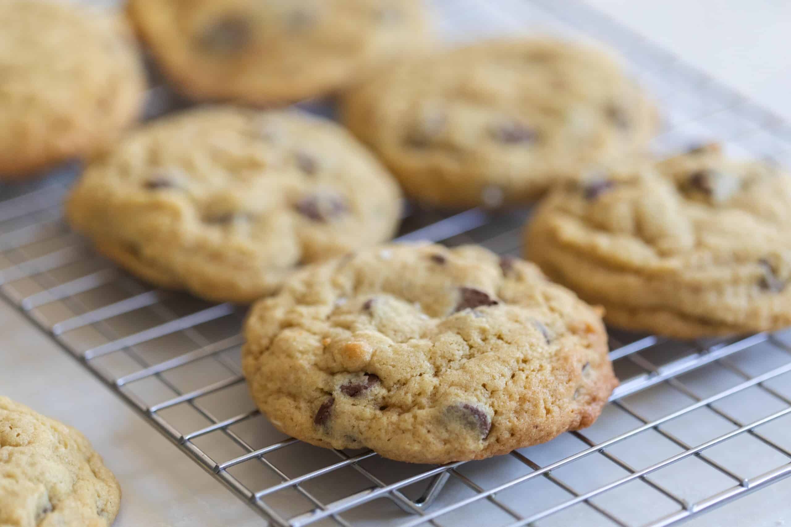 six sourdough chocolate chip cookies on a wire rack