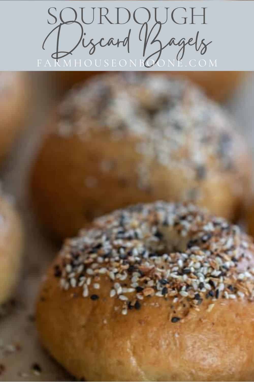 Easy Sourdough Discard Bagels Farmhouse on Boone