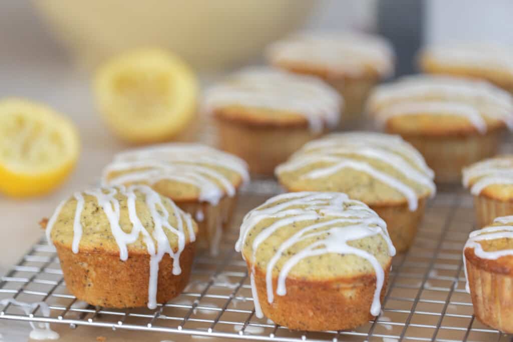 ten lemon poppy seed sourdough muffins with a lemon glaze drizzled over top on a wire rack with two lemons and a large bowling the background