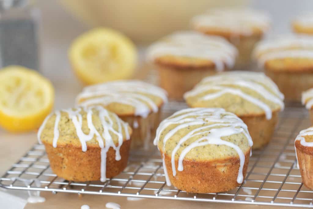 10 sourdough lemon poppy seed muffins with a lemon drizzle on a wire rack over parchment paper with a lemon sliced in half in the background