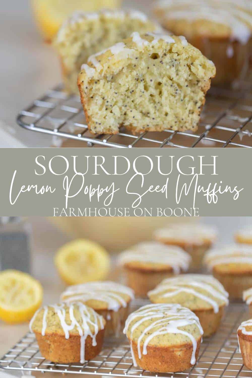 Sourdough Lemon Poppy Seed Muffins Farmhouse on Boone