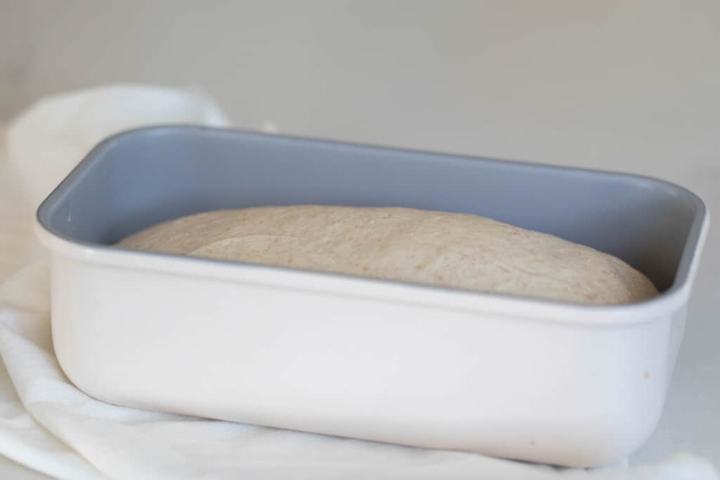 shaped dough in a loaf pan