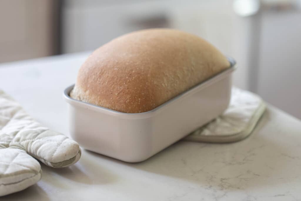 loaf of sourdough whole wheat sandwich bread in a white loaf pan on a white countertop with an oven mitt to the left