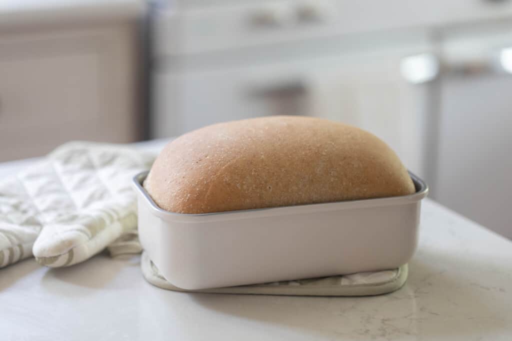 loaf of freshly baked whole wheat sourdough bread in a white loaf pan on a white countertop