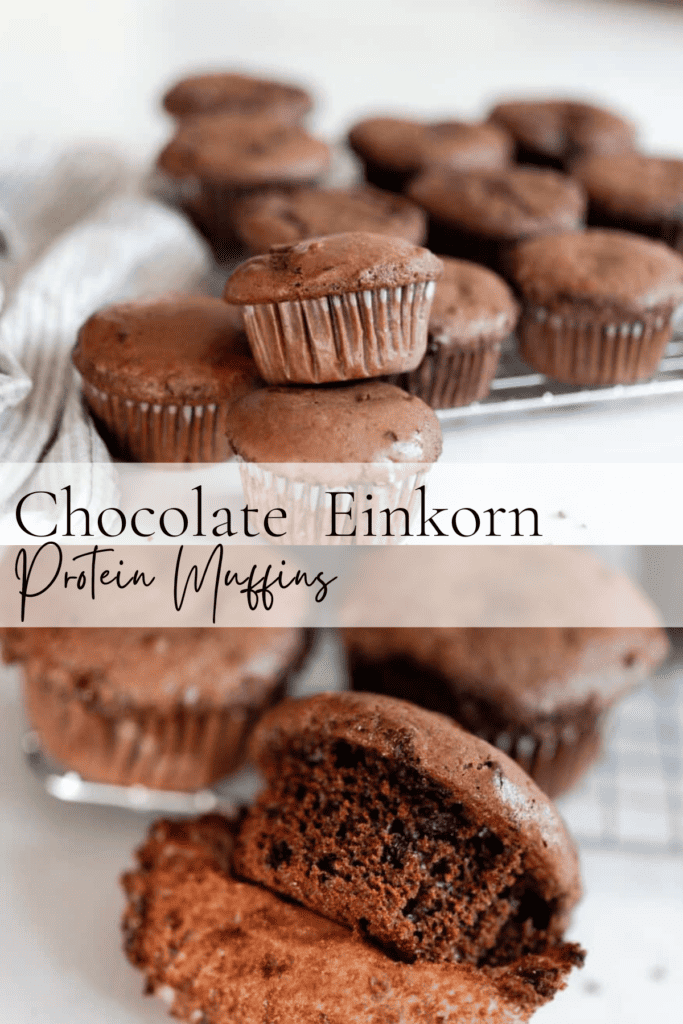Chocolate einkorn protein muffins Pinterest photo