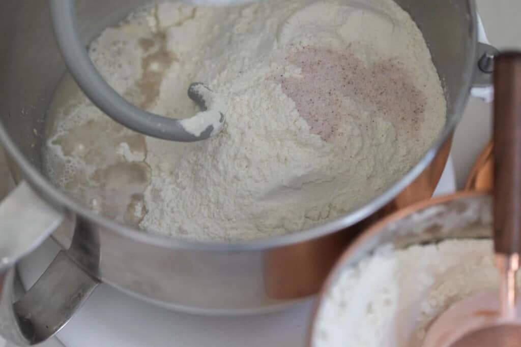 flour, yeast, water, salt, sourdough discard in a stand mixer bowl