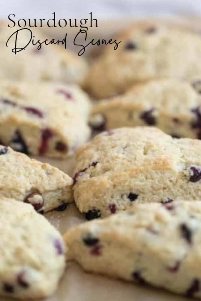 blueberry sourdough scones topped with course sugar on a parchment lined baking sheet