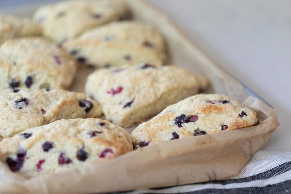 sourdough discard scones with fruit on a baking sheet