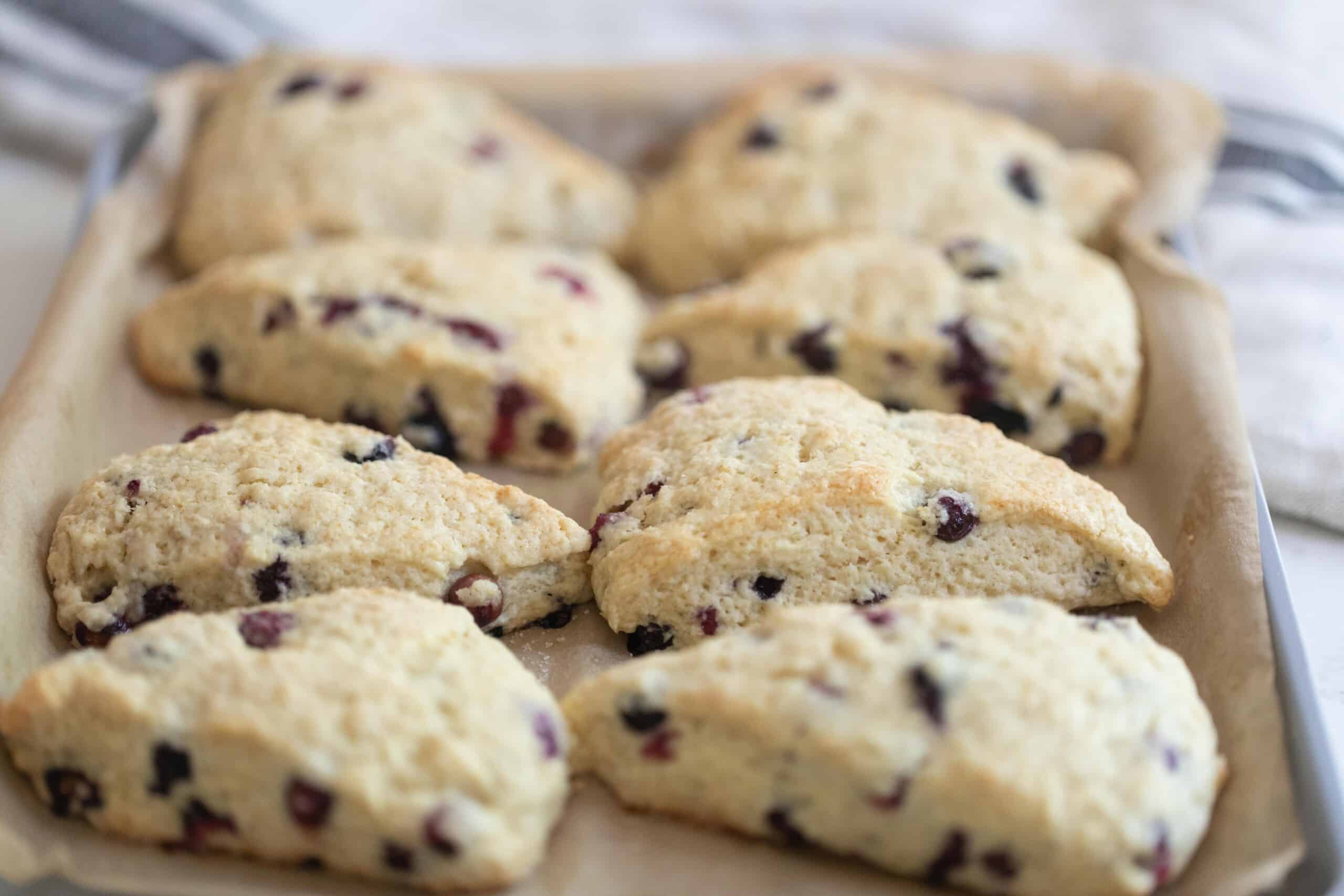 a baking pan lined with parchment paper with freshly baked blueberry sourdough scones