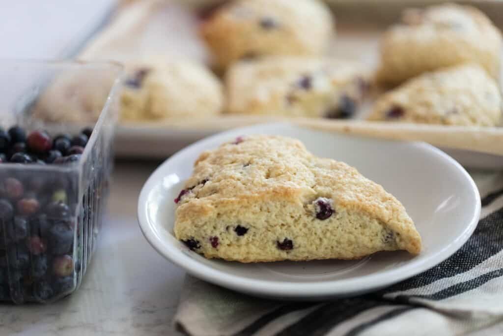 a blueberry sourdough scone on a white plate on a stripped towel with a pan of scones in the background