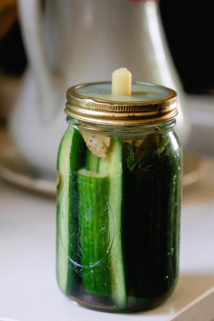 fermented pickles in a mason jar with a fermentation lid on a white countertop with a vase in the background