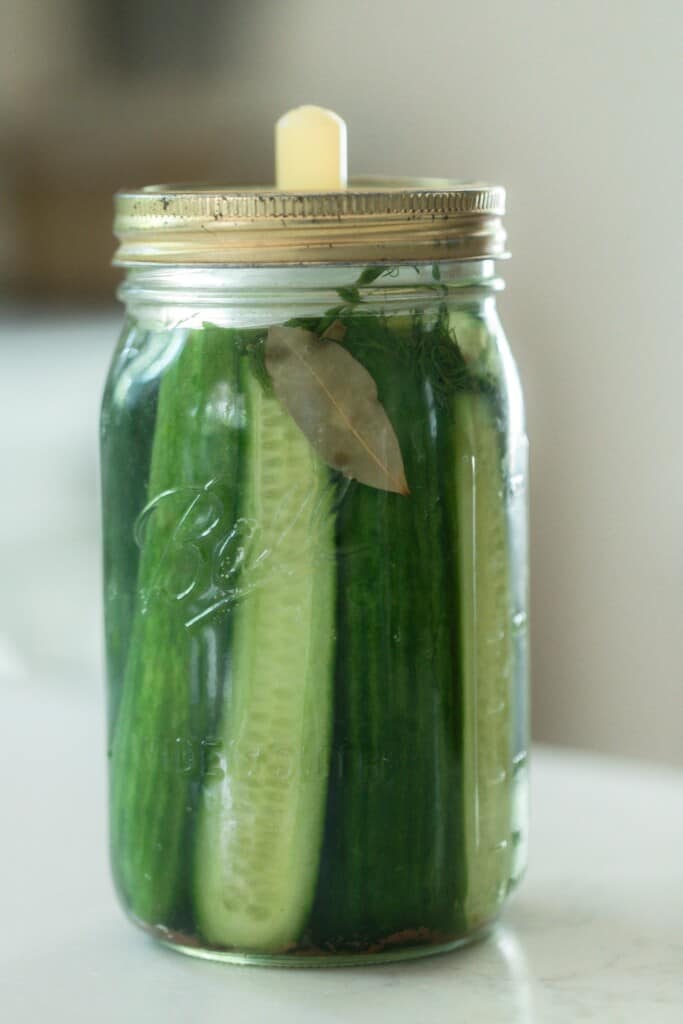 Homemade lacto-fermented pickles with bay leaves and dill in a mason jar with a fermentation lid on a white countertop