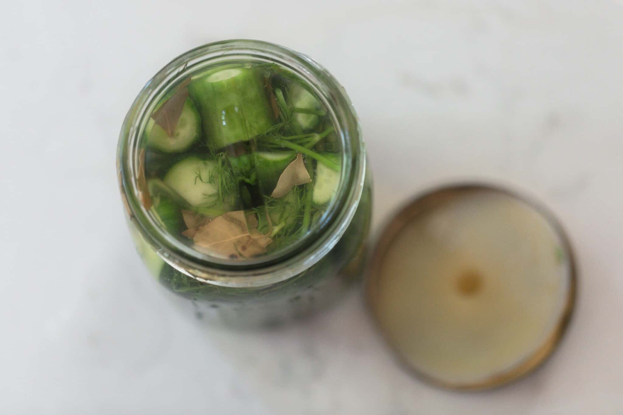 Homemade LactoFermented Pickles Farmhouse on Boone