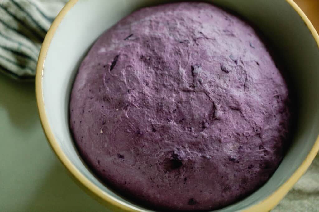 blueberry bagel dough after it has risen