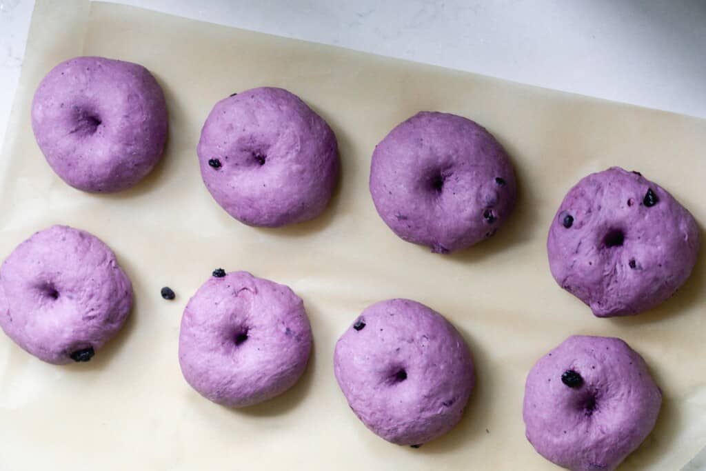blueberry sourdough bagel shaped and on parchment paper