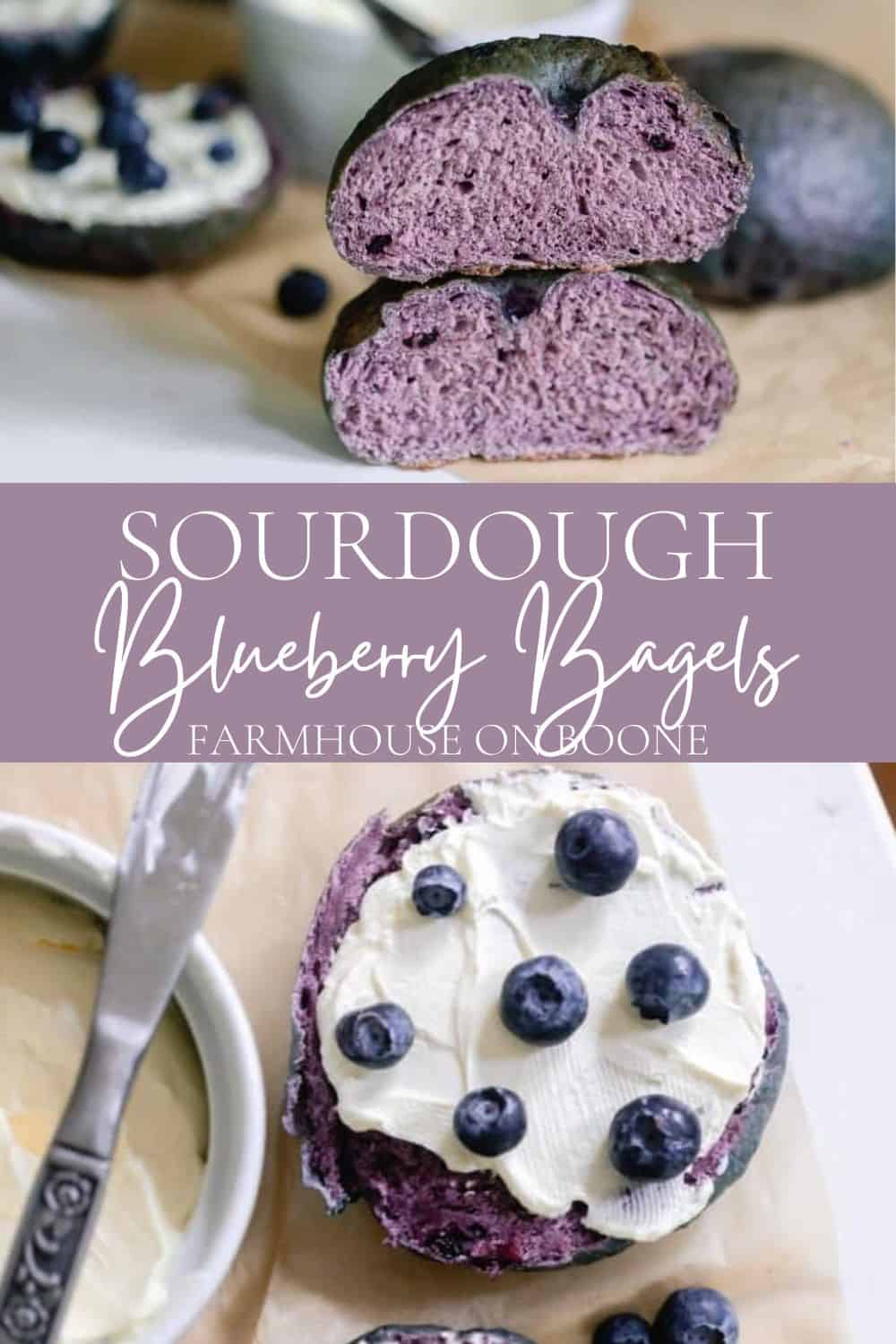 Blueberry Sourdough Bagels Farmhouse on Boone