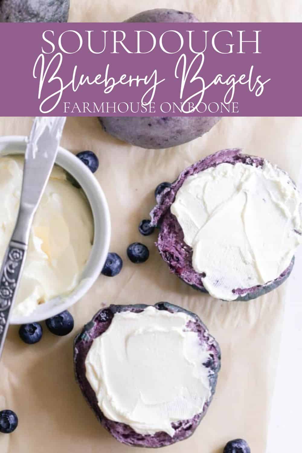 Blueberry Sourdough Bagels Farmhouse on Boone