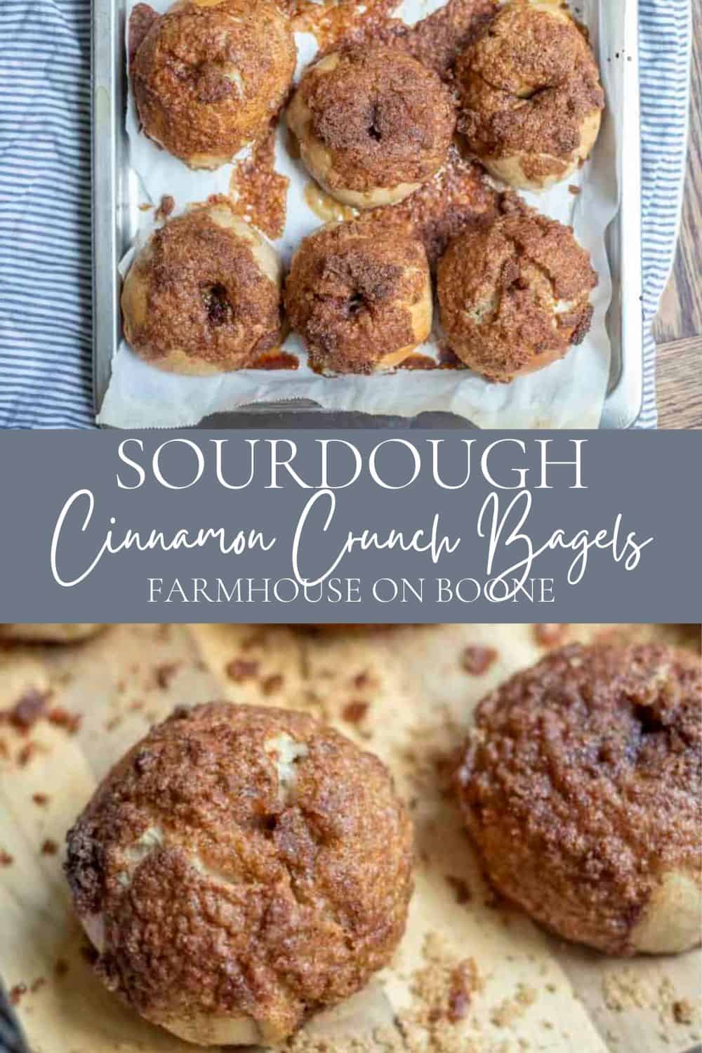 Sourdough Cinnamon Crunch Bagels Farmhouse on Boone
