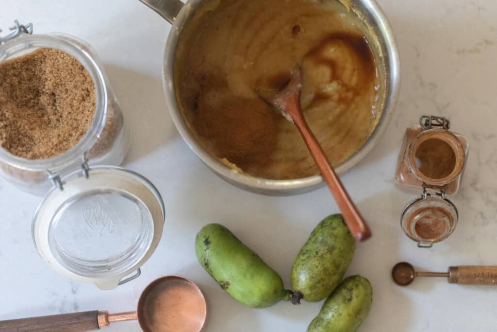 Overhead photo of pawpaw jam in a saucepan with the ingredients surrounding the pan