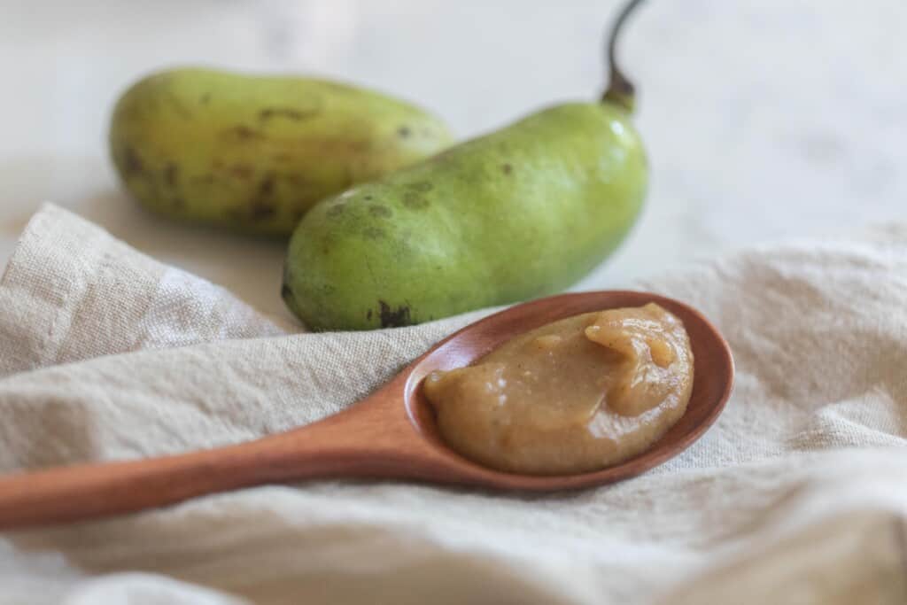 pawpaw jam on a wooden spoon on a white towel with fresh pawpaws in the background