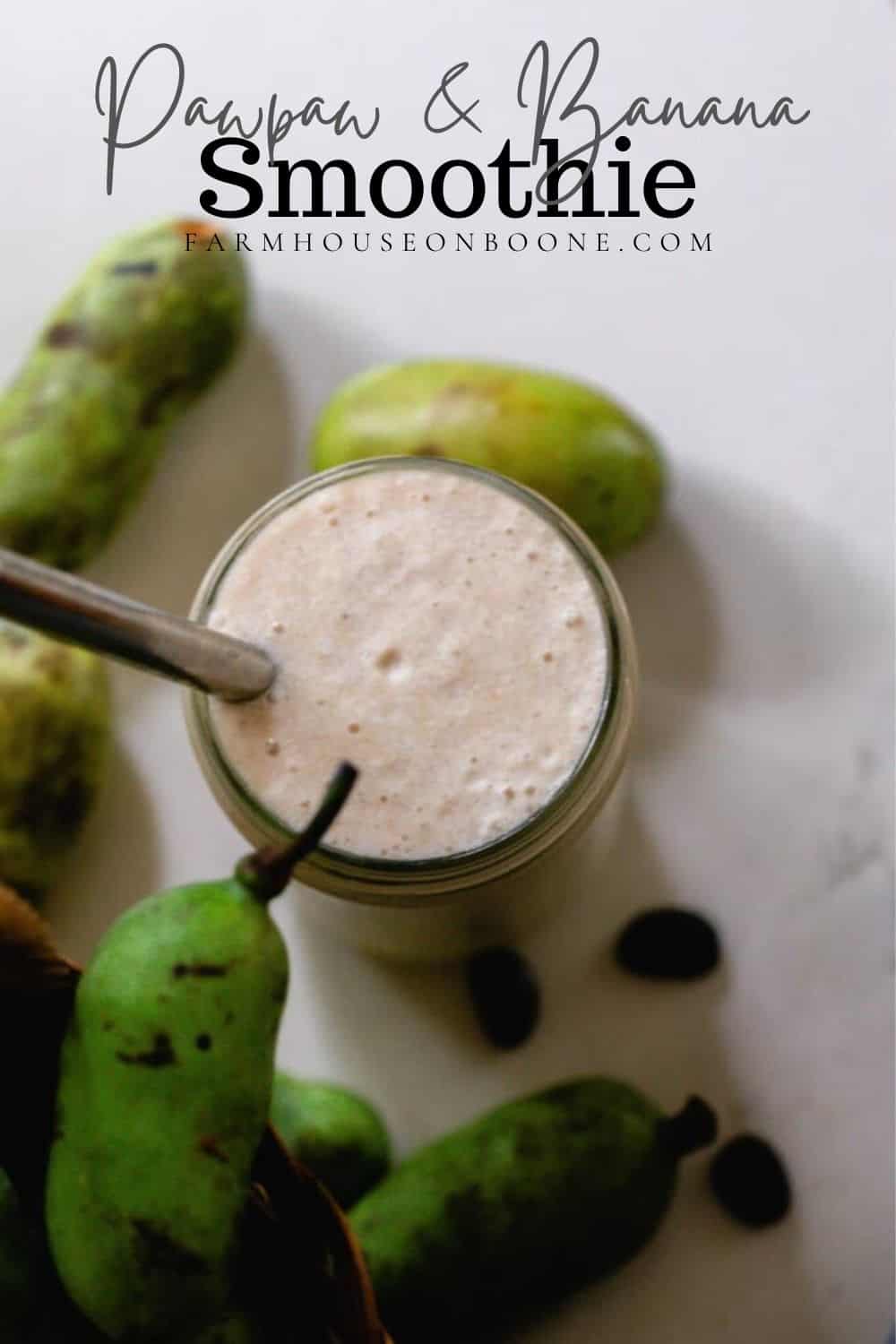 Creamy Pawpaw And Banana Smoothie Recipe Farmhouse on Boone