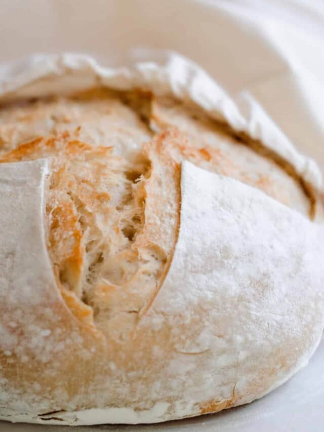 7 Ways to Store Sourdough Bread Farmhouse on Boone Farmhouse on Boone