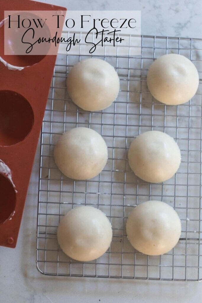 frozen sourdough starter disks on a wire rack with a silicon tray to the left