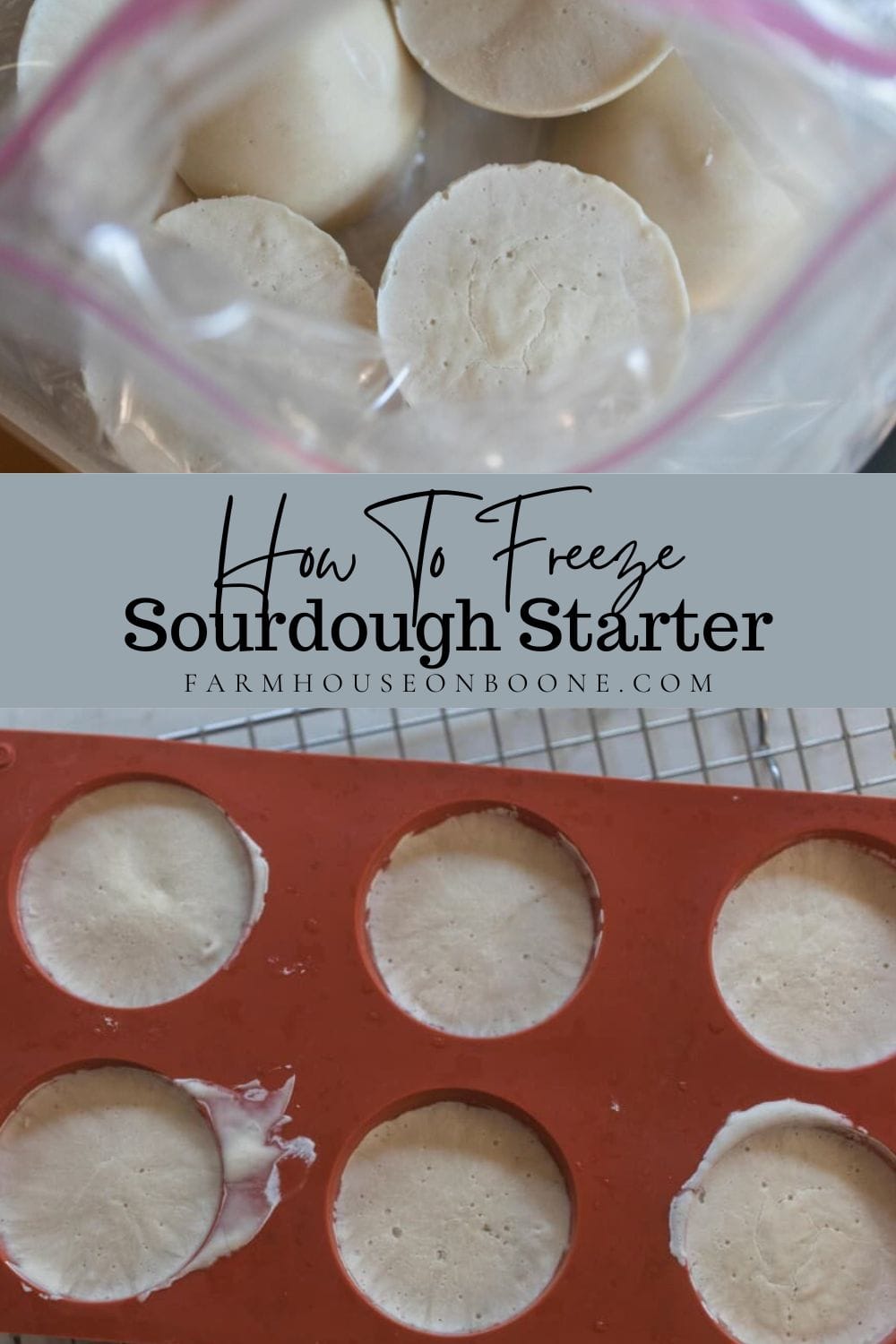 Can You Freeze Sourdough Starter? Farmhouse on Boone