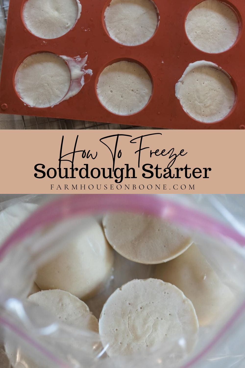 Can You Freeze Sourdough Starter? Farmhouse on Boone