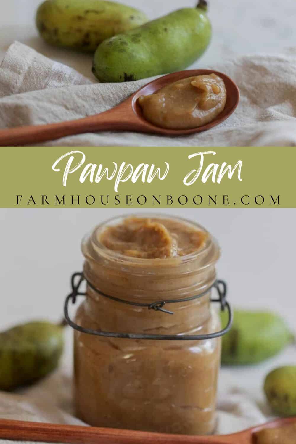 Pawpaw Jam Recipe Farmhouse on Boone