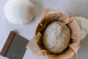 Freezing Sourdough Bread Dough - A Complete Guide - Farmhouse on Boone