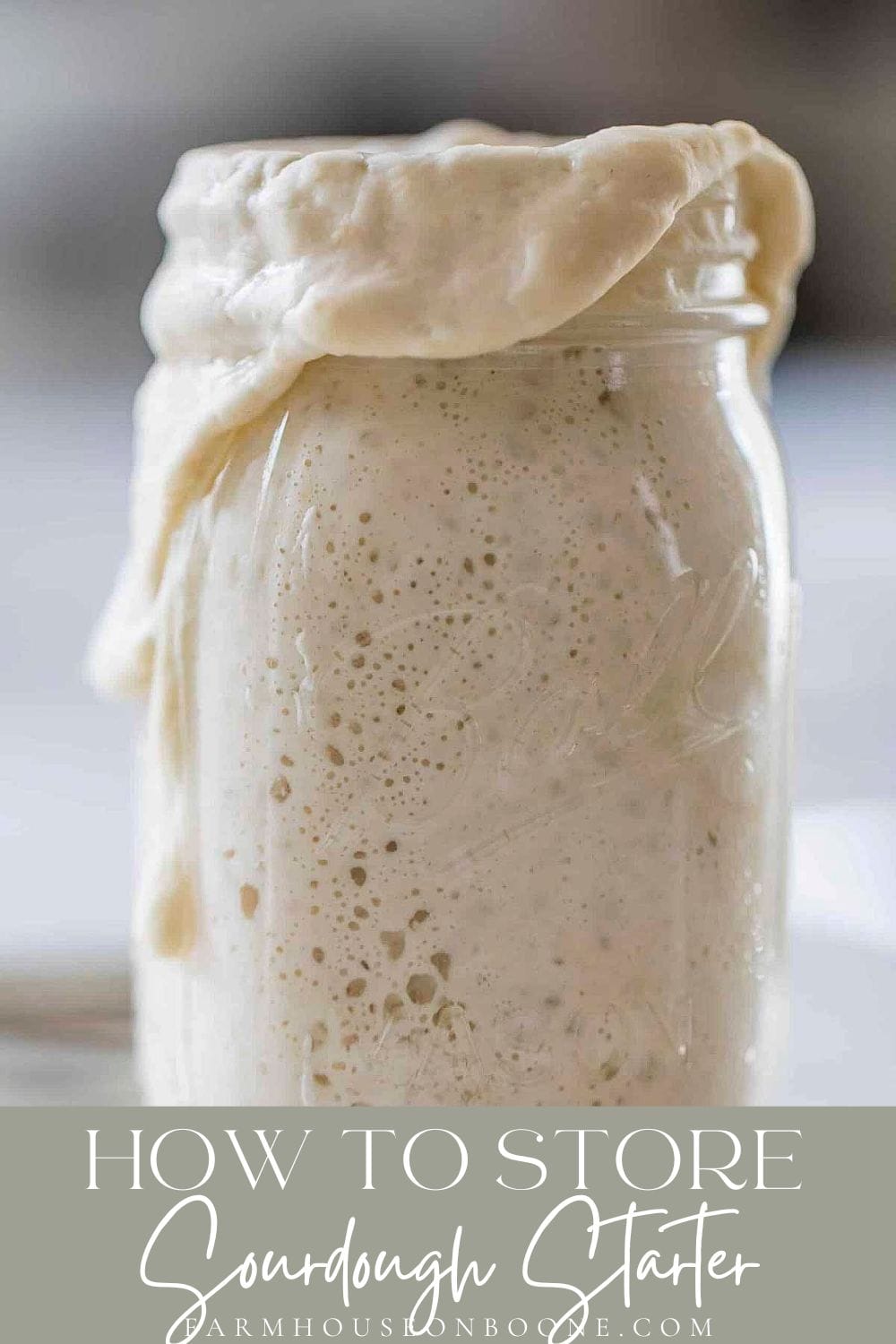 How To Store Sourdough Starter Farmhouse on Boone