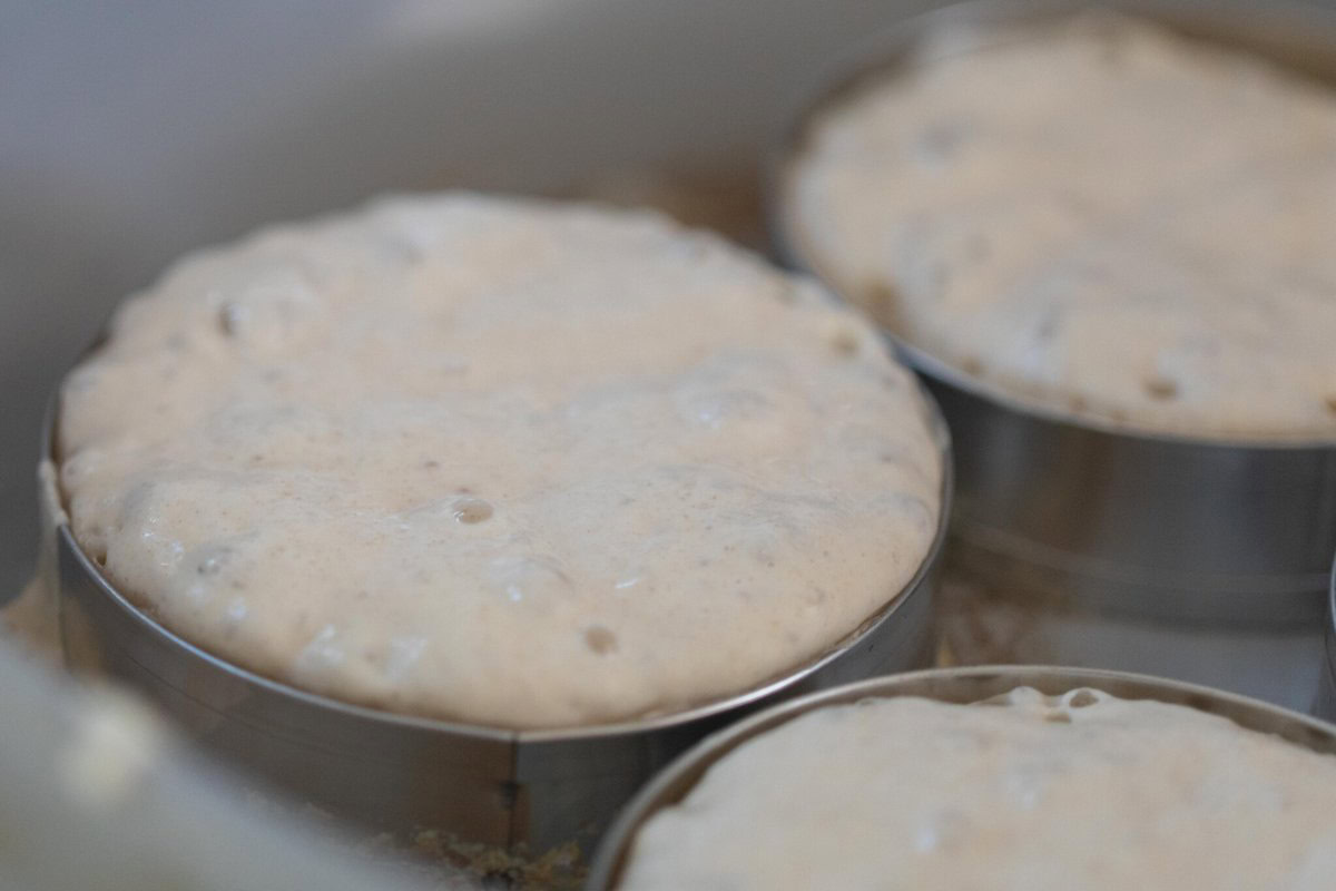 Crumpets cooking in rings on a pan.