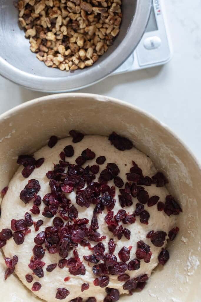 cranberries and walnuts added to bread dough in a bowl