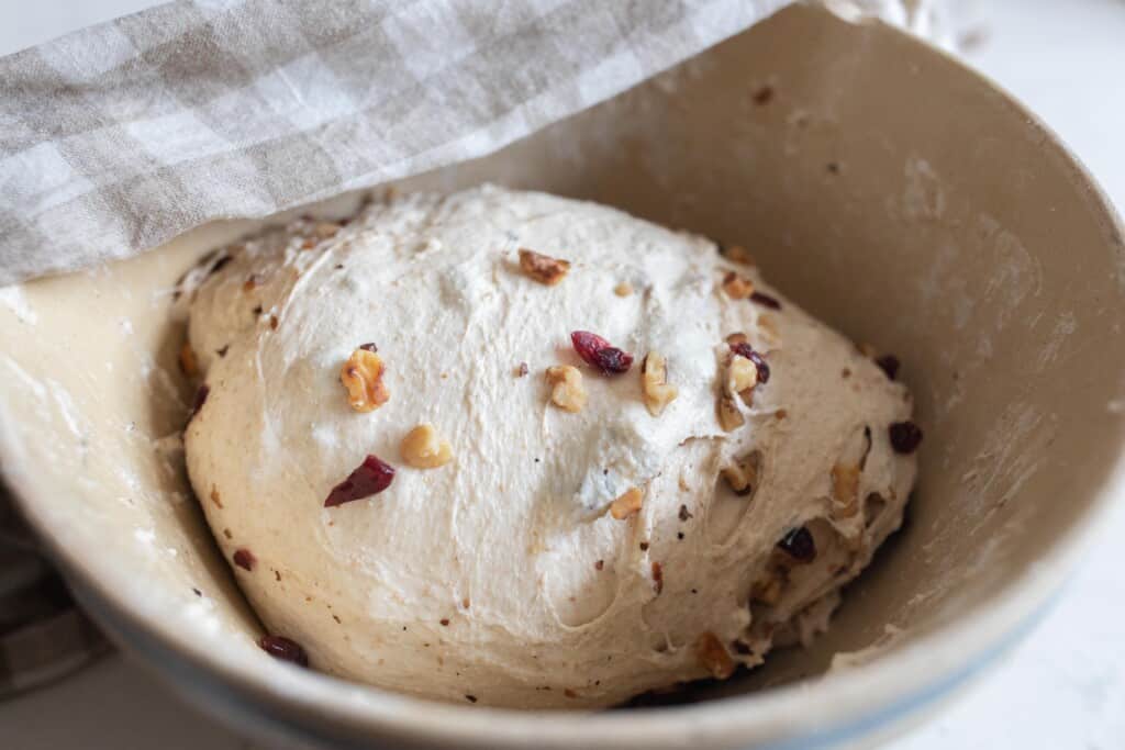 sourdough cranberry walnut bread dough in a ironstone bowl with a plaid towel over part of the dough