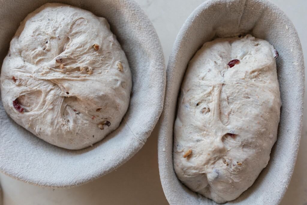 sourdough cranberry bread dough in banneton baskets