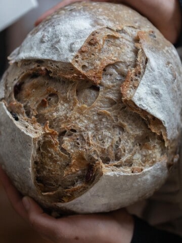 overhead photo of hands holding a loaf of sourdough cranberry walnut bread