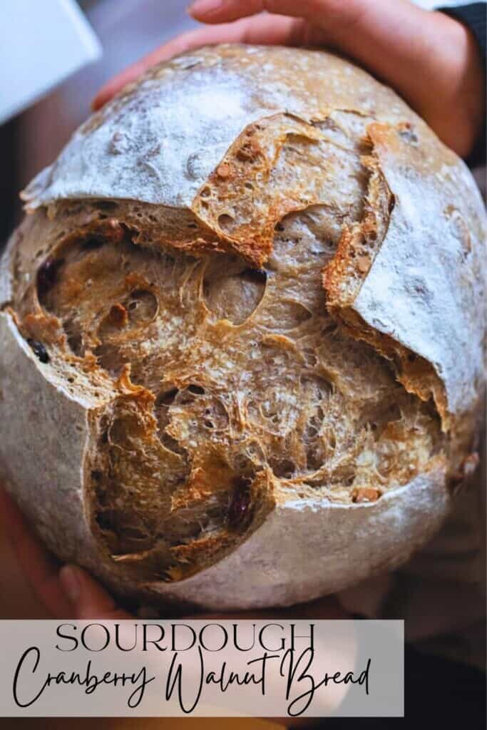 overhead photo of hands holding a loaf of sourdough cranberry walnut bread
