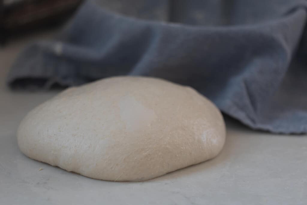 high hydration sourdough shaped next to a bowl with a floured blue towel