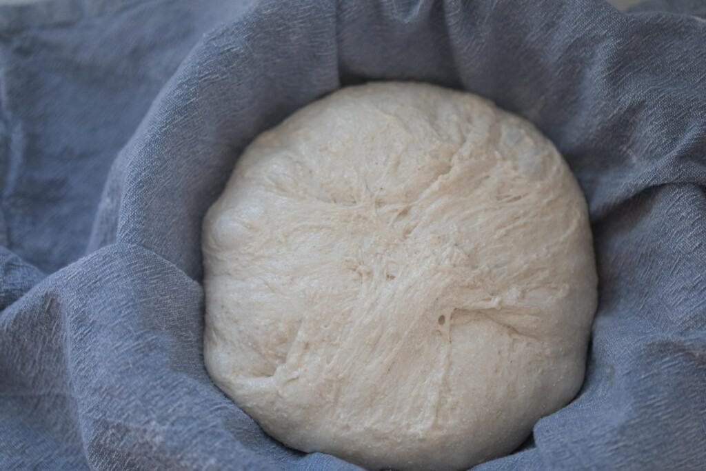 high hydration sourdough bread in a bowl lined with a blue towel