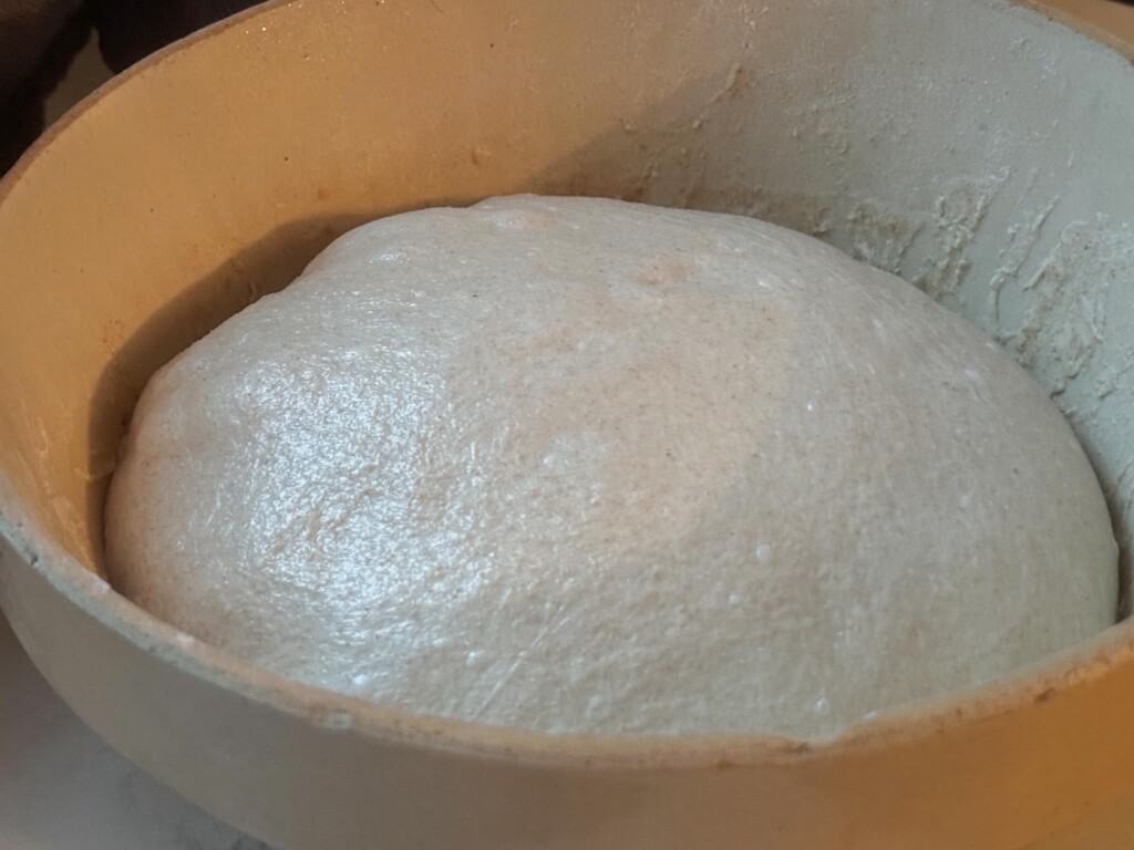 honey sourdough brad in tan bowl in bulk ferment phase
