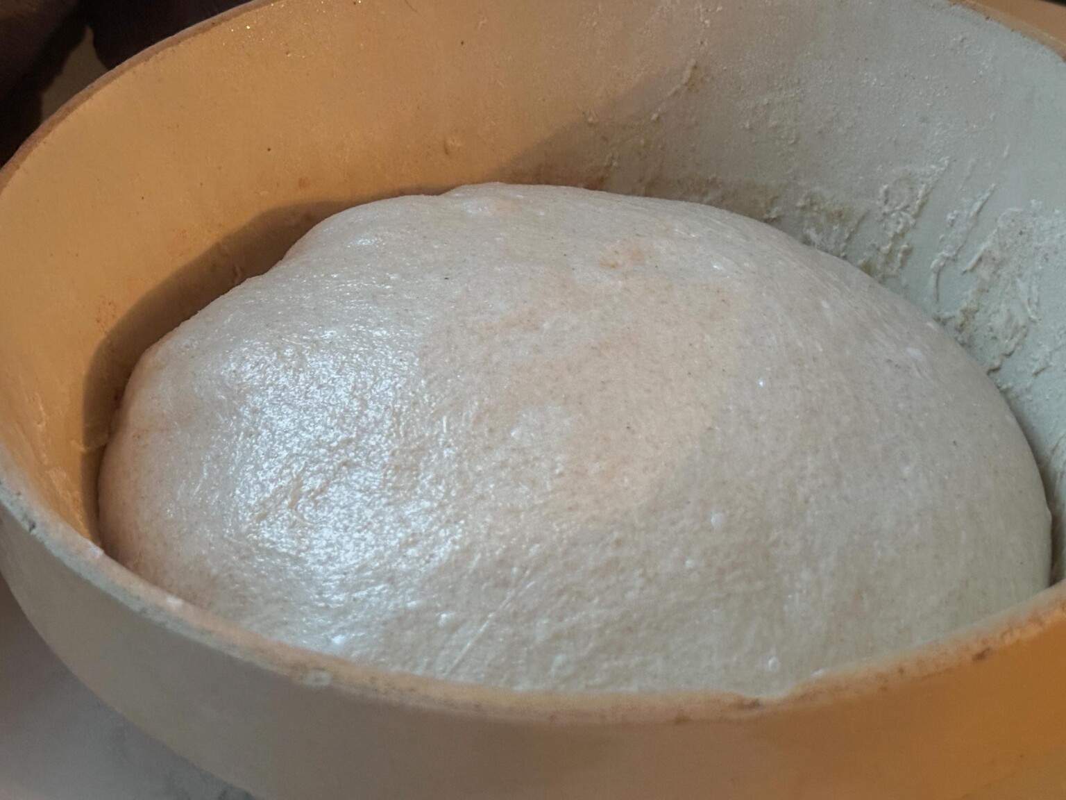 honey sourdough brad in tan bowl in bulk ferment phase